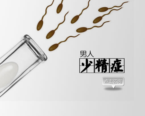 少精症患者可多吃哪些食物